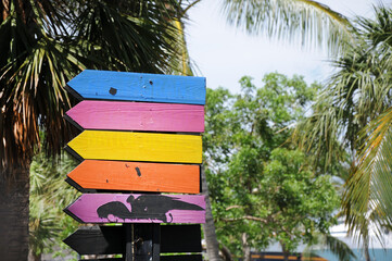 An exotic country. Multicolored pointers in an exotic country. Leisure and travel