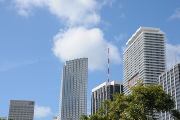 Fototapeta premium Modern office building against a blue sky in an exotic country. Close-up. External elements