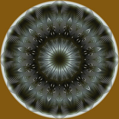 Mandala Floral Elements Ornament Fantasy