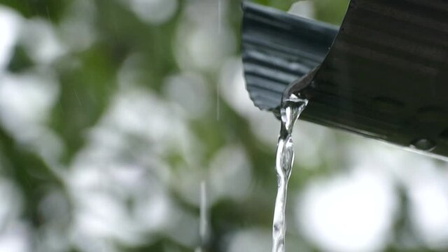 Rain drains their pipes at the summer cottage