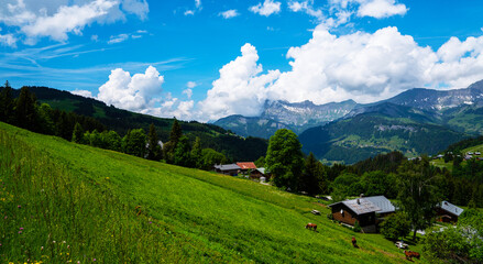 Panoramic view of idyllic summer landscape with mountains and fresh green pastures. Alps in sunny days beautiful view bavarian Alps and Austrian Alps hiking routes, between Germany and Austria.