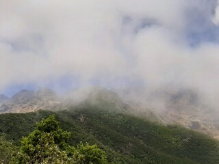 fog in the mountains