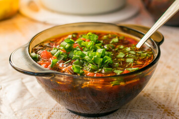 Tomato soup with vegetables and green onions.