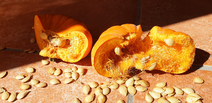Broken pumpkin in half with scattered seeds on the stone surface in the morning sun. Panorama.
