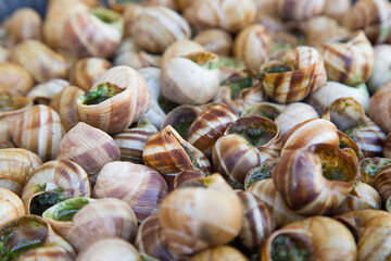 Escargots