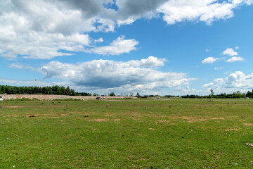 Lush Green Landscape under Cloudy Sky