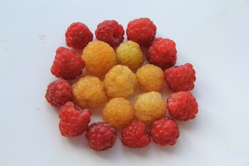 red and yellow raspberries