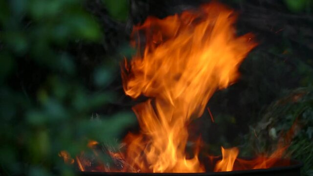 Fire among green foliage in summer