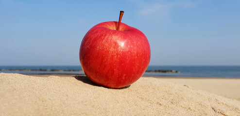 One red apple on the sand. Colorful panorama of the apple and the sea shore.