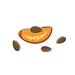 Fresh persimmon . Collection of different fruits , whole, half and slice isolated on white background. Flat hand drawn vector illustration. Sketch and doodle style.