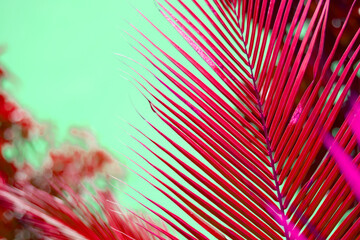 Abstract background with red decorative palm trees
