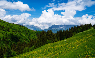 Fototapeta premium Spring landscape with flowers meadow and mountains. Panoramic view of idyllic mountain scenery in the Alps with fresh green meadows in bloom on a beautiful sunny day in springtime.