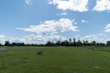 Lush green landscape under cloudy sky