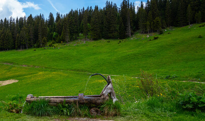 Alpine open air wooden well with drinking water. Natural source spring of water. Clean, fresh, natural spring of drinking water falls in a wooden channel.
