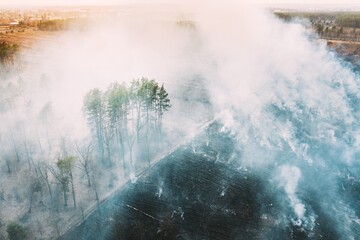 Aerial View. Spring Dry Grass Burns During Drought Hot Weather. Bush Fire And Smoke In Forest. Wild Open Fire Destroys Grass. Nature In Danger. Ecological Problem Air Pollution. Natural Disaster.