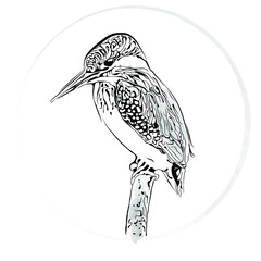 kingfisher on a fantasy branch on a white background