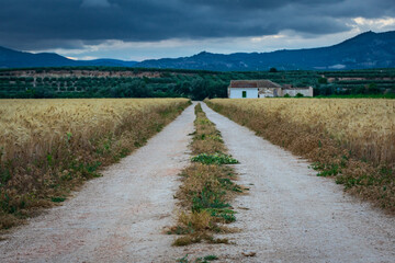 Rural road leading to a small country house