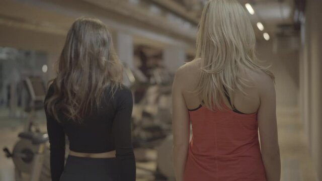 Camera follows young sportive women walking along gym and chatting. Back view of blond and brunette Caucasian sportswomen talking in fitness club. Health, beauty, lifestyle, sport.