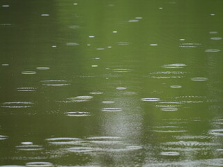 Raindrops on water surface