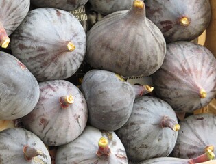 fresh figs on the market