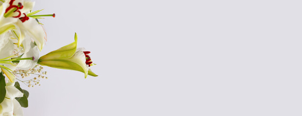 Flower bouquet background. Lily.