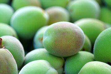 Bowl of green ume Japanese apricot plum fruit