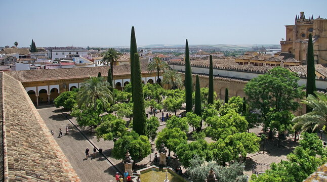 Court of the orange trees, Mosque of Cordova is part of the Cathedral Mosque of Cordoba, and is undoubtedly the largest and oldest courtyard of the city of the year 786.