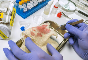 Police specialist examines piece of cloth stained with blood belonging to the victim of murder,...