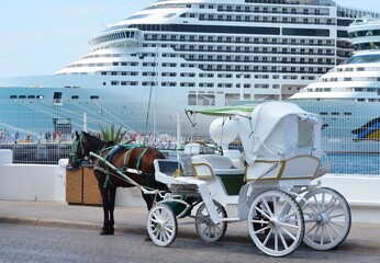 Horse carriages in front of cruise liners