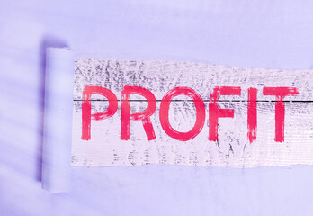 Word writing text Profit. Business photo showcasing the difference between the amount earned and...