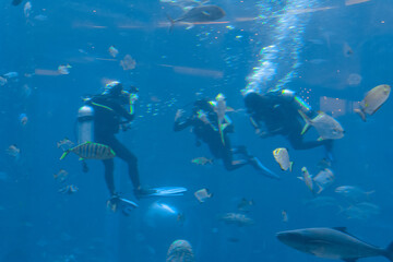 Underwater photographers on scuba dives. Divers with camera surrounded by a large number of fish in the huge aquarium. Sanya, Hainan, China.
