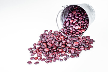 harvesting red beans. red beans in a small metal bucket. free space for text