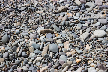 Background / texture: coarse and fine gray sea pebbles