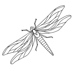 dragonfly on a white background. Vector illustration