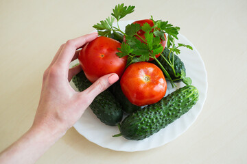 A tomato on the woman hand. A fresh tomatoes, sliced cucumbers and sprig of parsley on the white plate on the light table. Seasoning vegetables on a table. Healthy ingredient for salad.