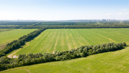 Fototapeta na wymiar bird's-eye view of a green field