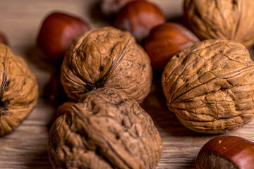 Realistic closeup macro. Hazelnuts and walnuts. Healthy vegetarian food. Natural background.