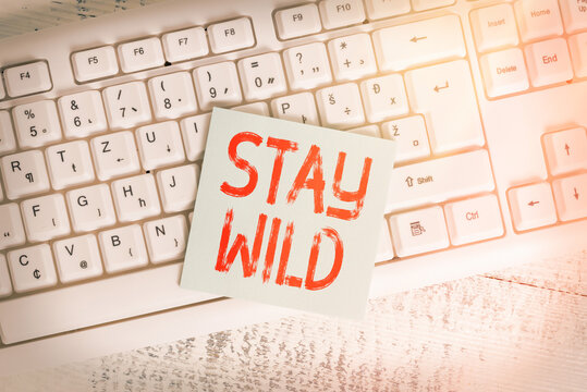 Conceptual hand writing showing Stay Wild. Concept meaning end up being extremely energetic throughout the entire day Keyboard office supplies rectangle shape paper reminder wood