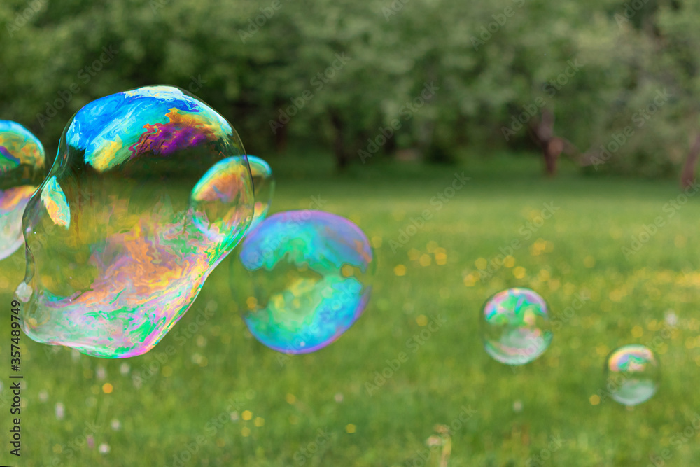 Wall mural soap bubbles flying through the air in a green garden