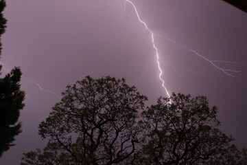 Lightning Bolt
