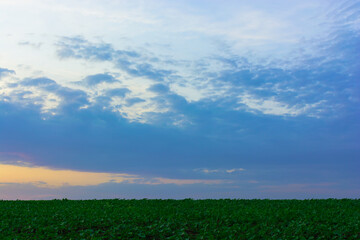 Sunset sunrise over field or meadow. Bright dramatic sky and dark ground. Countryside landscape under scenic colorful sky at sunset dawn sunrise.