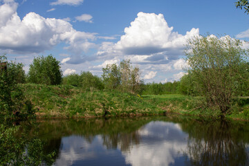 Fototapeta na wymiar summer landscape on the lake