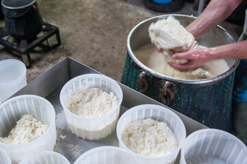 The making of tuma cheese: farmer filling containers with just made tuma cheese