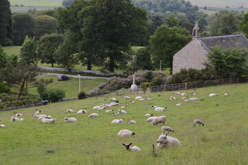 Rural scene near Kemback Church, Fife, Scotland