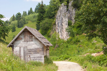 Nice small hut from a reverse angle in a green valley with trees. A path leading to the wooden hut.