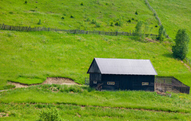 Nice small hut from a reverse angle in a green valley with trees. House has small fences for chicken. Farmers house. Chicken farm.