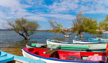 Trees inside the sea with plenty of wooden fishing boats around inside the lake on a cloudy blue sky.