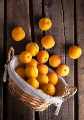 Apricots fresh colorful overhead arrangement in woven basket on old dark brown wooden table studio shot