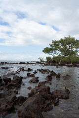 Beach in Brazil, Atlantic Ocean, Praia Formosa, Santa Cruz, Aracruz, Espírito Santo