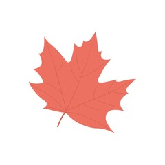 Maple leaf icon in flat design style. Autumn, fall season symbol.